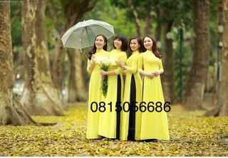 Áo dài trơn vàng cúc