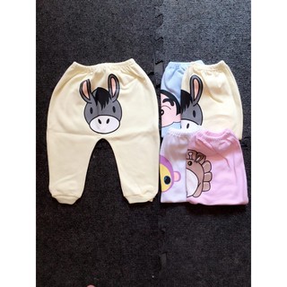 COMBO 5 QUẦN NỈ COTTON MÔNG THÚ CARTER