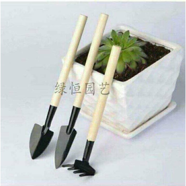 Bộ 3 cuốc xẻng trồng cây cảnh mini