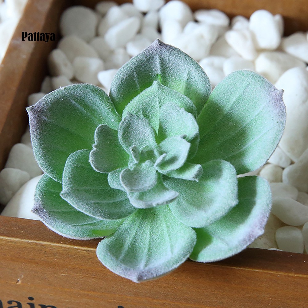 1 Cây Cảnh Giả Bằng Nhựa Cho Trang Trí