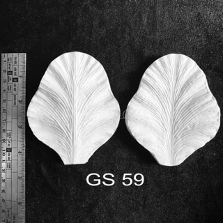 Gân silicon cap cấp hoa lan Hoàng Hậu