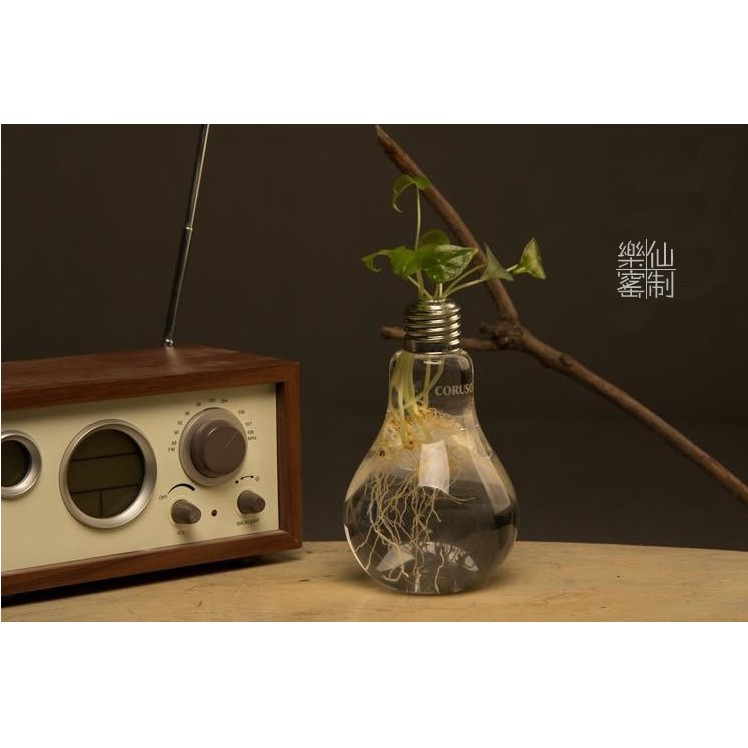 Lọ thủy tinh hình bóng đèn điện chuyên dùng trang trí, trồng thủy sinh