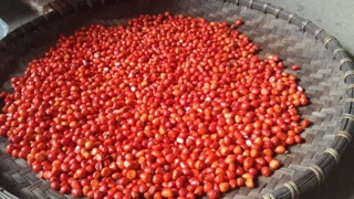 Combo: 100g hạt dổi + 300g hạt mắc khén