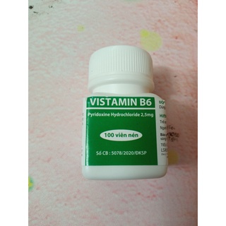 Hũ vitamin b6 100 viên