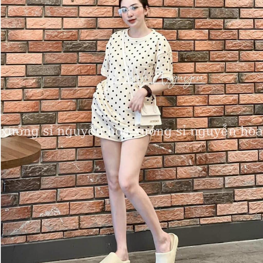 Sét bộ đùi mặc nhà nữ chấm bi áo thun form rộng kèm quần thun phong cách hàn quốc Xưởng Sỉ Nguyễn Hoa