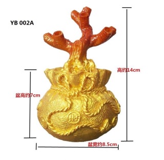 Cây mai tài lộc 7 cành