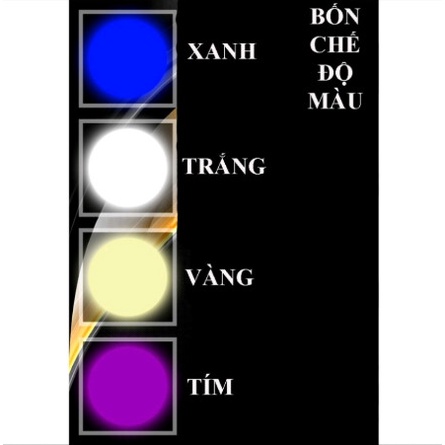 Đèn Soi Phao Câu Đêm Cảm Ứng