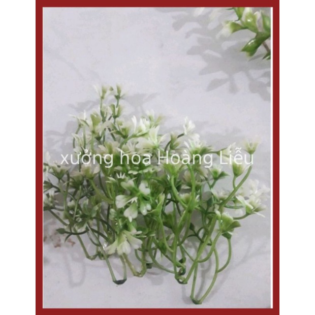 Combo 100gr Cỏ Điểm Cân, cỏ điểm trang trí.