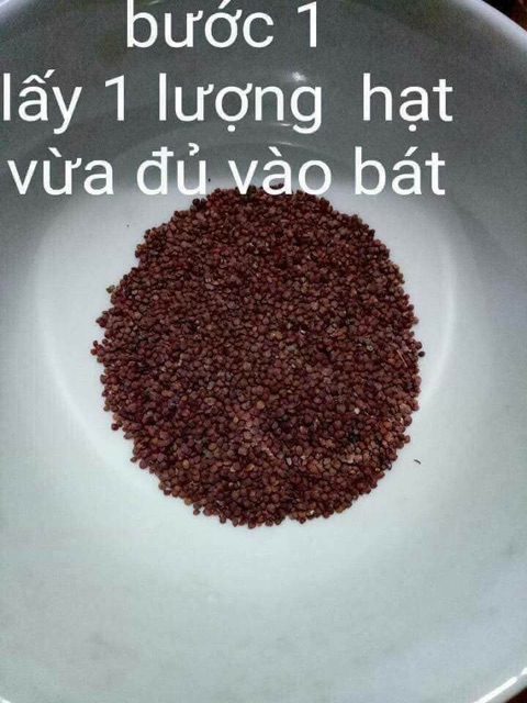 Ngũ hoa hạt