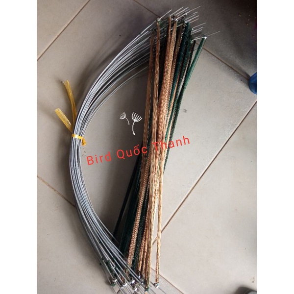 Cung bẫy cút