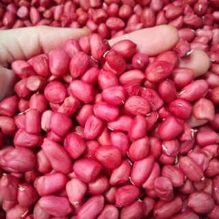 Lạc đỏ - hà giang - 1kg