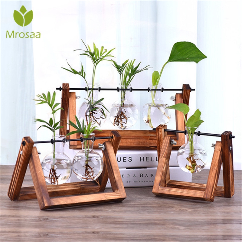 Chậu thủy tinh trồng cây kiểng