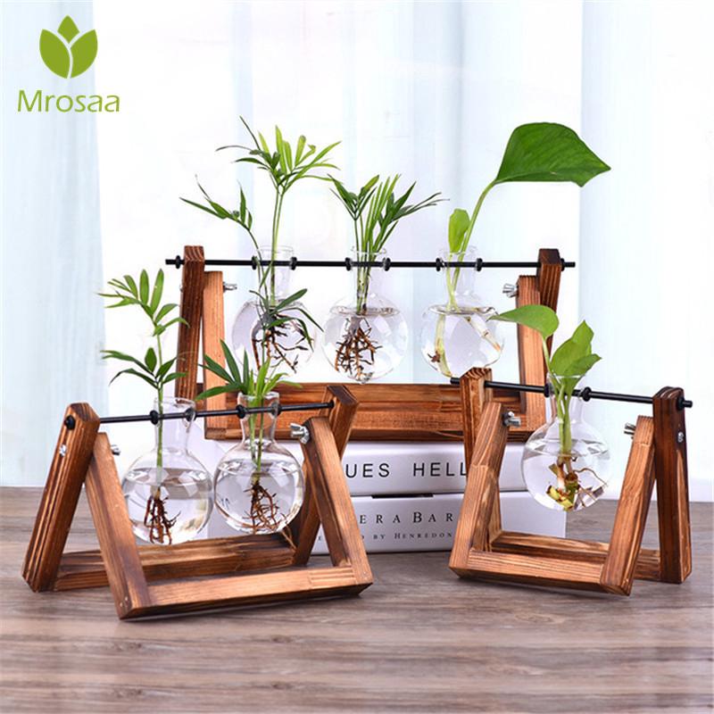 Chậu thủy tinh trồng cây kiểng