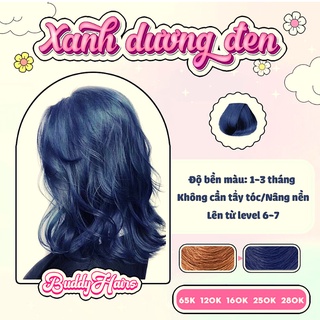Thuốc nhuộm tóc xanh dương đen,xanh than,xanh đen không cần dùng thuốc tẩy tóc buddyhairs