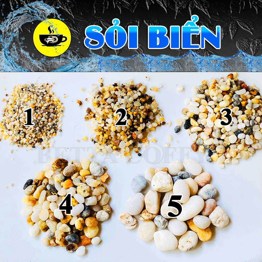 Sỏi biển thiên nhiên - Sạn Gốm - Đá Cuội lọc nước trang trí rãi nền hồ cá