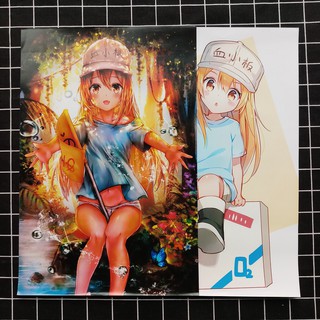 Poster Anime Tiểu Cầu (8 Tờ)