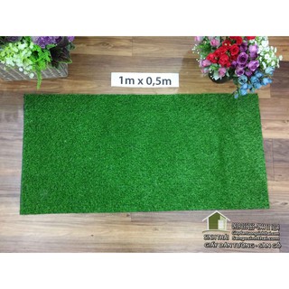 Tấm cỏ nhựa nhân tạo dày, cao cấp 1m x 0,5m