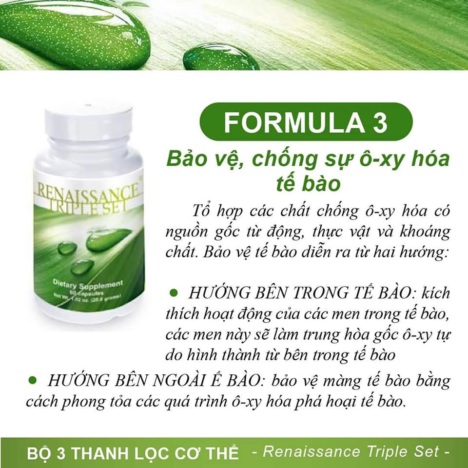 Bộ 3 trà thải độc Renaissance Triple Set - Siberian Wellness - 180 viên