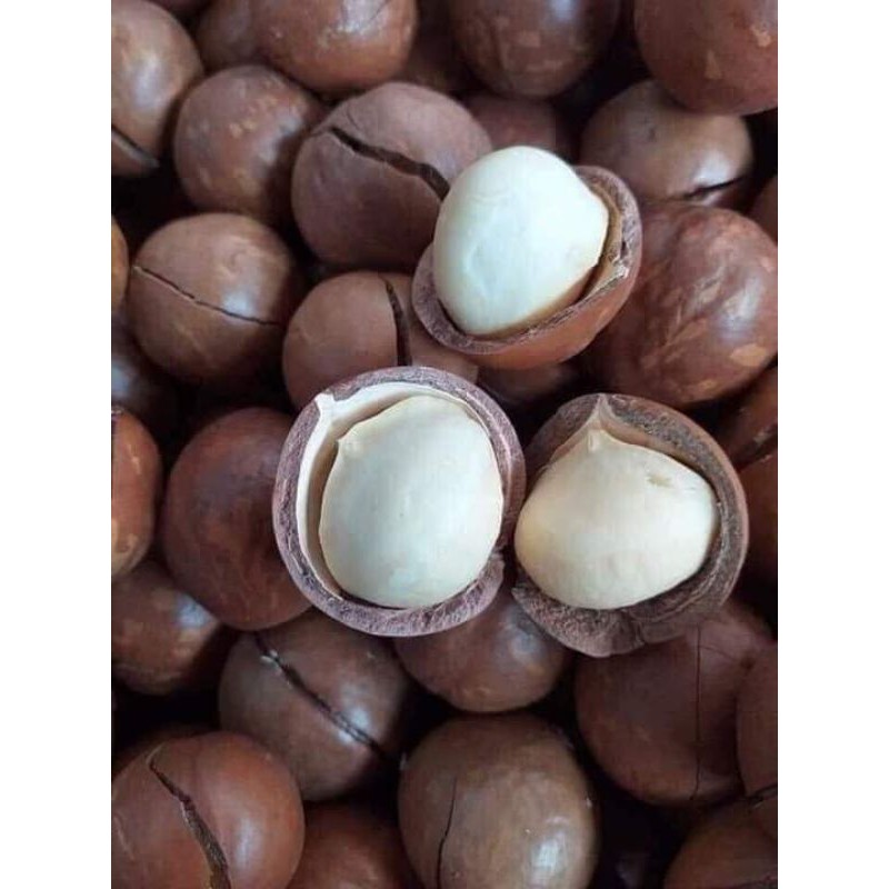 hạt MACCA  1kg