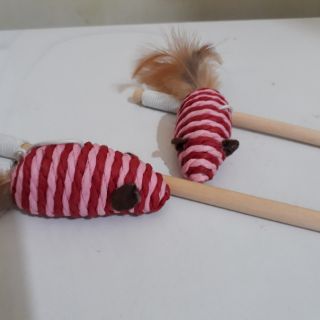 Cần câu mèo