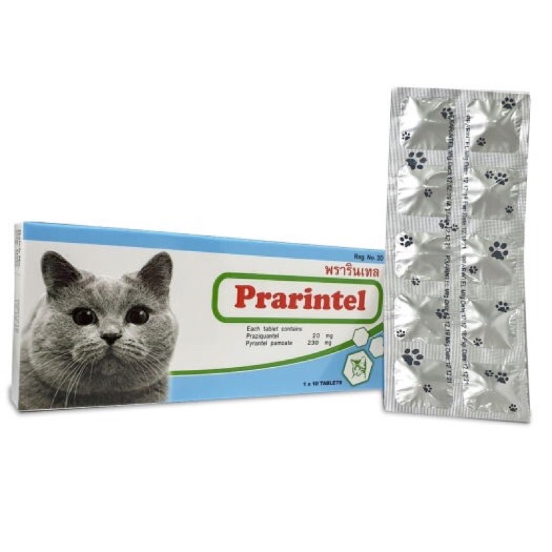 1.v t.ẩ.y g.i.u.n p.a.r.i.n.t.e.l thái lan cho chó mèo