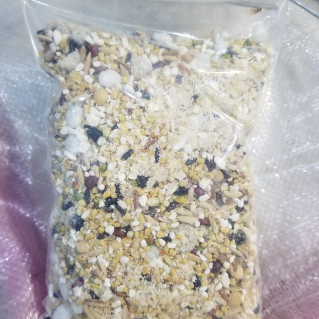 thức ăn cho chuột