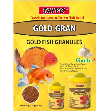 Thức ăn bổ sung tỏi cho cá vàng taiyo Ấn độ