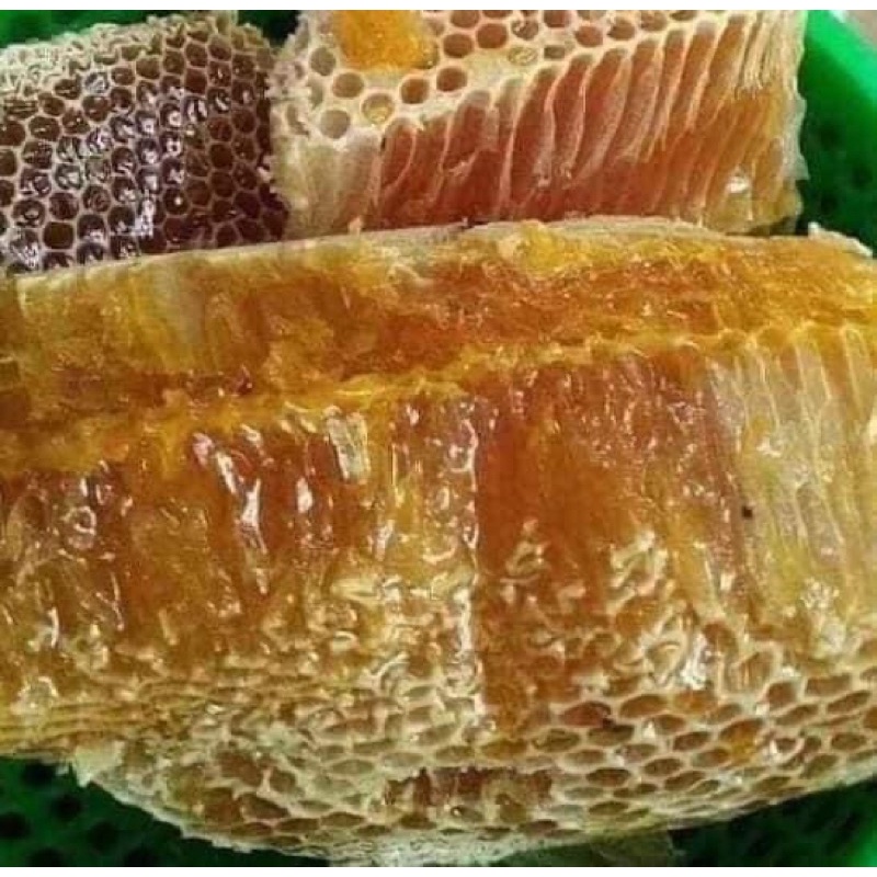 Mật Ong Rừng U Minh Tự Nhiên - Cam Kết Nguyên Chất