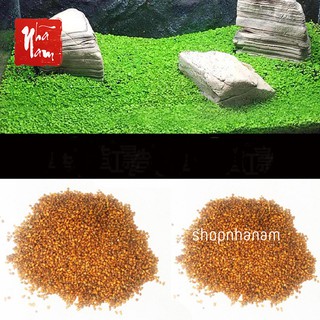 Bộ phụ kiện trang trí bể cá lũa bể cá thủy sinh phụ kiện bể cá