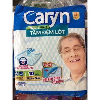 TẢ CARYN NGƯỜI GIÀ