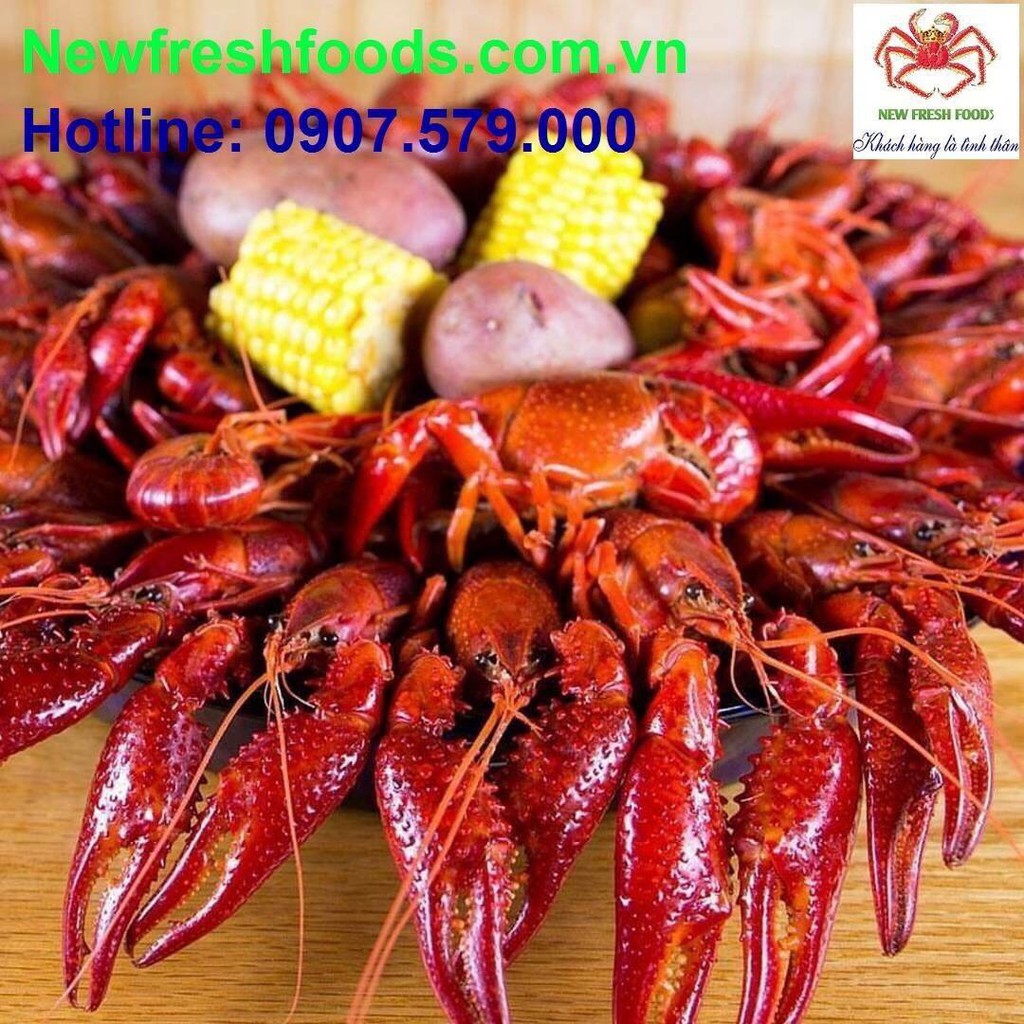 Bột Gia Vị Lousiana Crawfish - 142gram  [Giao Nhanh HCM]