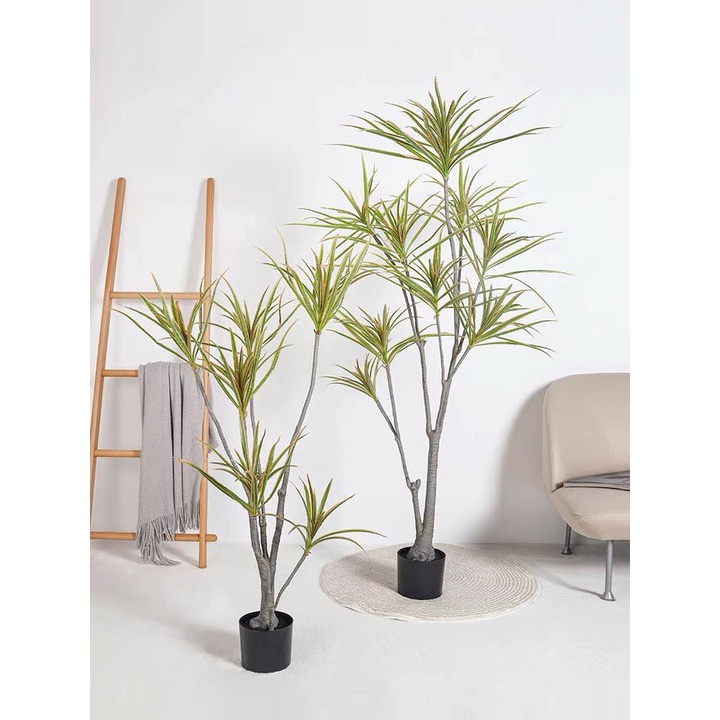 Cây giả, Cây huyết giác, huyết dụ kiếm giả - Cây giả decor trang trí nhà cửa nội thất phòng khách phòng ngủ