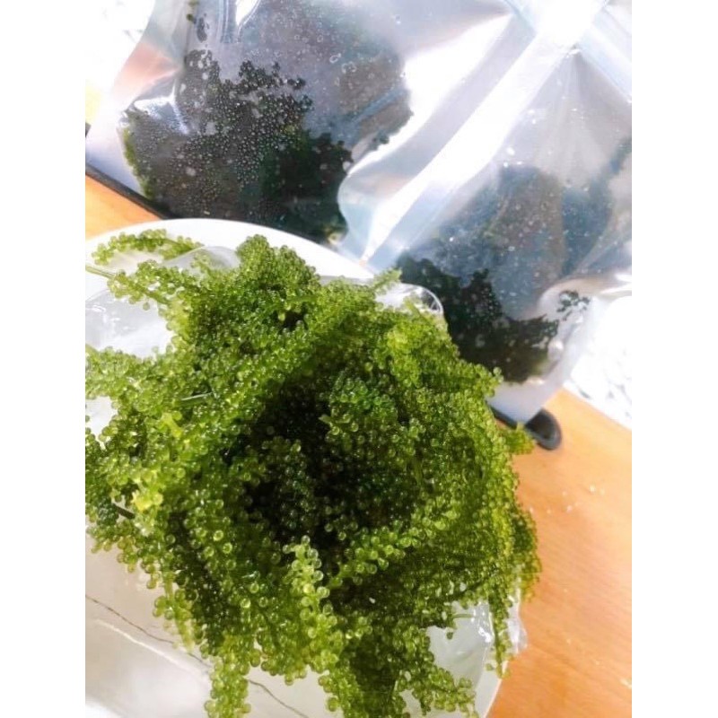 Rong nhớ tách nước sea graper gói 100gram tách nước được 300gram tươi .