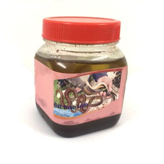 Mồi Đặt trúm lươn