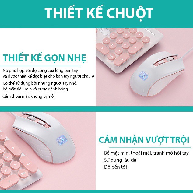 Bộ bàn phím chuột máy tính Latope bàn phím giả cơ có dây nút tròn màu sắc độc đáo N518