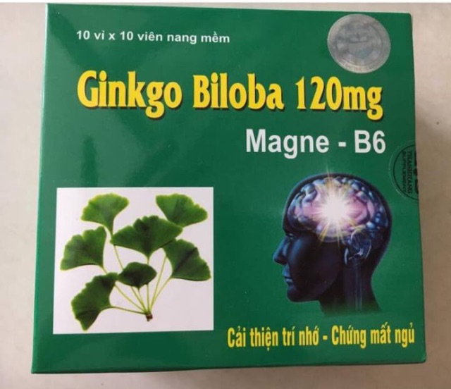 [Bảo Lâm ] - (Nhà Thuốc) Ginkgo Biloba 120mg Bổ Sung Dưỡng Chất Cho Não 100 viên