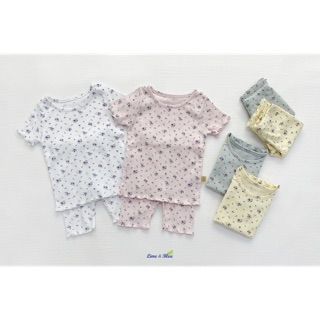 Bộ cộc Lime & blue made in korea