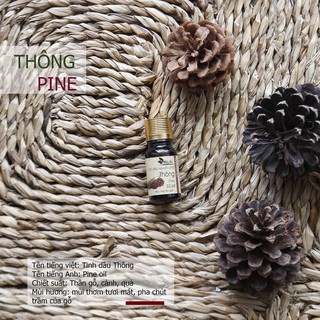 Tinh Dầu Thông xông phòng khử mùi hiệu quả - Tinh Dầu Hà Na