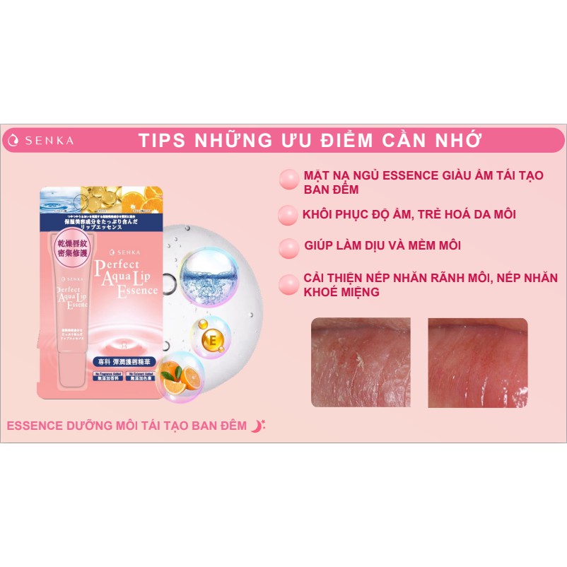 Combo mặt nạ ngủ môi và son dưỡng môi cấp ẩm SenKa Perfect Aqua Lip Balm