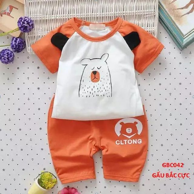 bộ gấu bắc cực