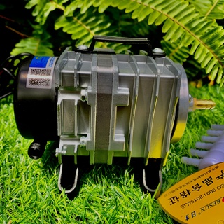 Máy Sủi Oxi Aco-001 18W