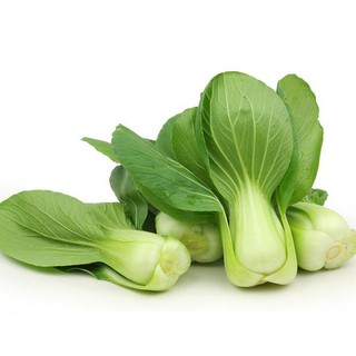 ⚡️HẠT GIỐNG RAU CẢI THÌA F1⚡️ RAU CẢI CHÍP CAO SẢN (Hàng Loại 1) - Chính hãng