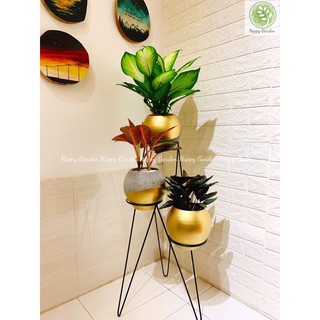 Kệ cây, kệ hoa 3 tầng