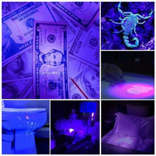 Đèn pin LED UV Tia Cực Tím cắm sạc USB thân tròn nút vuông (màu ngẫu nhiên)