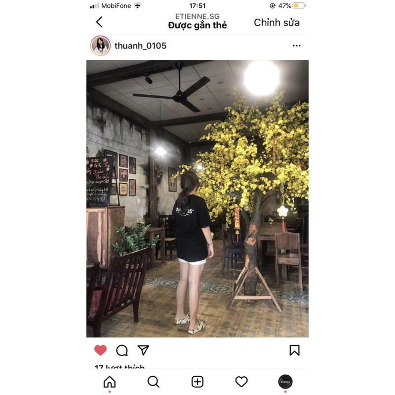 Áo Thun Tay Lỡ Form Rộng SAINT PARIS Cotton 100% 4 Chiều Cao Cấp | BigBuy360 - bigbuy360.vn