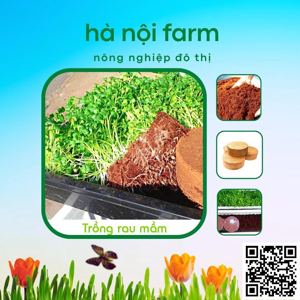 Viên nén xơ dừa, Đất nén xơ dừa tơi xốp trồng rau mầm - 500g