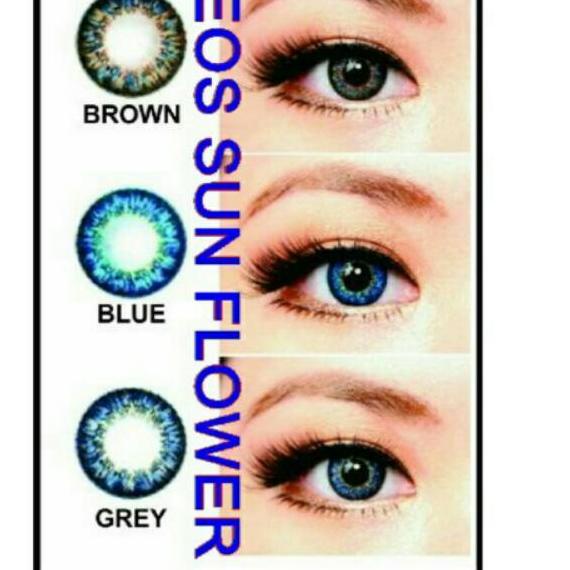 Sản Phẩm Hàng Đầu Tiên Nữ Hoa Hướng Dương...