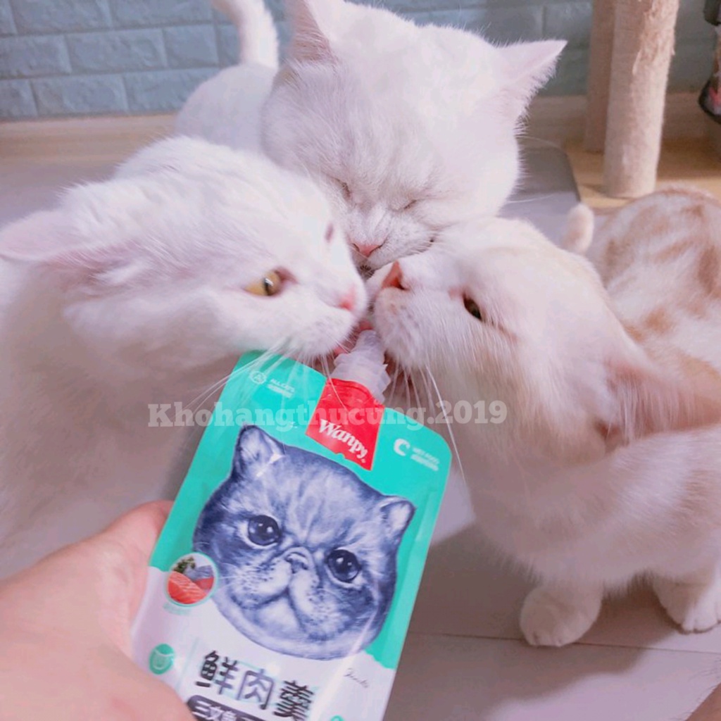 10 gói WANPY Súp thưởng dinh dưỡng cho mèo- Tuýp nắp vặn 90g