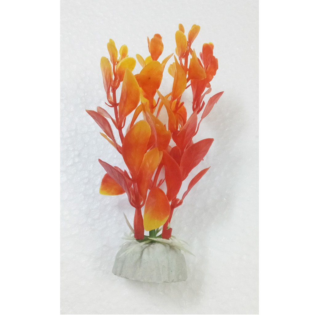 Cây Trang Trí Bể Cá Size Mini (Khoảng 12cm x 5cm Mỗi Cây) - Đồ Trang Trí Hồ Cá