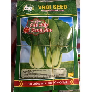 Hạt giống Cải Chíp 🥬 20 gram ☘️